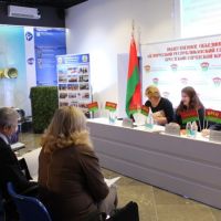 IMG 4296